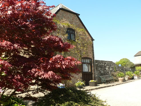 Celandine Cottage